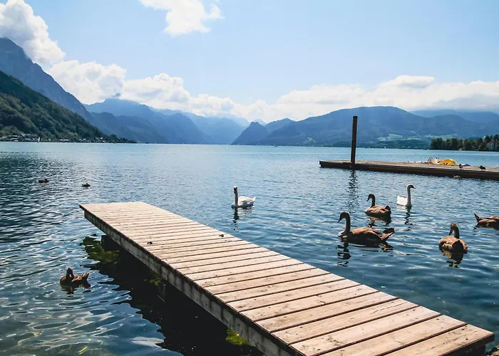 Appartement Austria 206 Am Traunsee, *